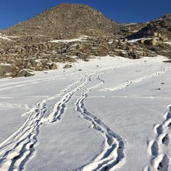 тропы на снегу, уходящие в горы