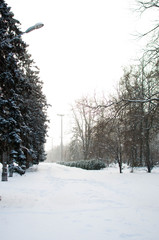 White Snow alley 