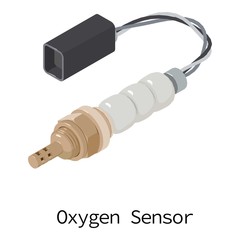 Oxygen sensor icon, isometric 3d style