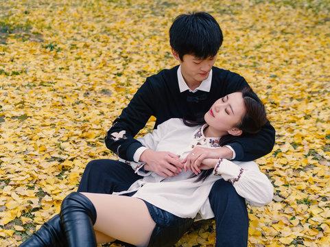 Hnadsome Chinese young man sit on ground  covered by golden ginkgo leaves with his beautiful girlfriend in his arms, autumn portrait concept, lover concept.