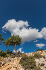 Stony landscape of  the Tsambika mountain on the Rhodes Island, Greece