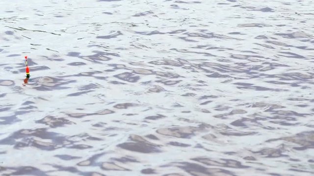 Close-up - fishing in the river - red small float of fishing rods wave on the background of watery surface