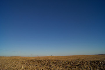 Blue Sky Corn Field Harvested