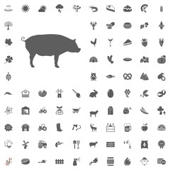 Agriculture and Farm Vector Icons Set
