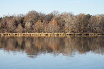 Fototapeta na wymiar Lake Tree Reflection