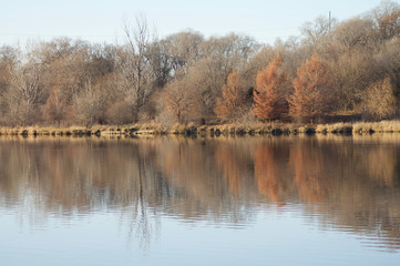 Fototapeta na wymiar Lake Tree Reflection