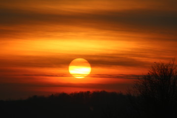 Fototapeta premium very orange sunset