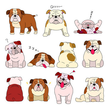 bulldog elements with colors and outlines