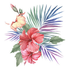 Fototapeta na wymiar Composition with hibiscus and palm leaves. Hand draw watercolor illustration