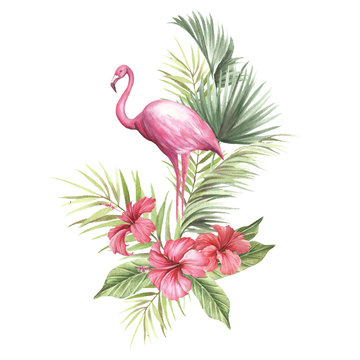 Flamingo with tropical flowers and leaf.Hand draw watercolor illustration.