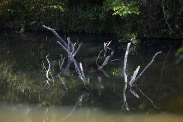 生駒山系鳴川園地