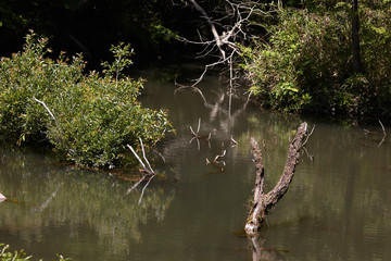 生駒山系鳴川園地