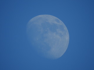 Daytime Moon