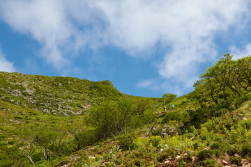 Obraz premium 伊吹山