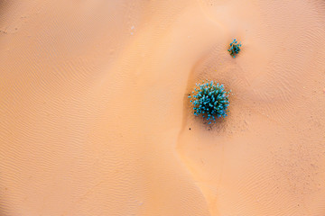 Sand Dunes From Above