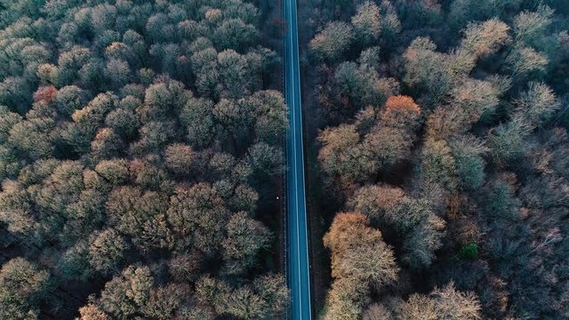 Road and traffic through autumnal forest - aerial view