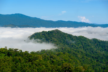 The fog at Khao Phanoen Thung, Kaeng Krachan National Park in Thailand