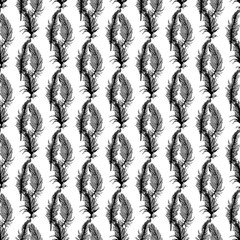 Seamless pattern with feathers 