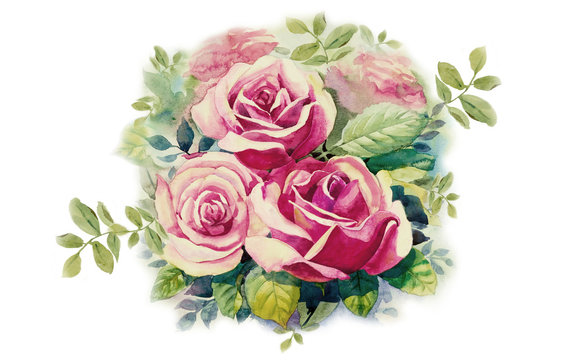 Greeting card with pink roses flowers.