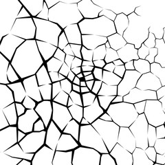 Earth cracks or networks of roots on white background. Concrete wall Texture design in grunge with stone polygon style.