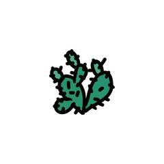 Cactus hand drawn icon 
