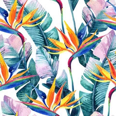 Afwasbaar Fotobehang Aquarel natuur Aquarel tropische naadloze patroon met paradijsvogel bloem.