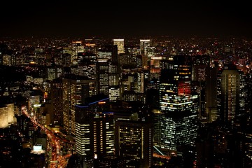Fototapeta na wymiar Night view in Tokyo