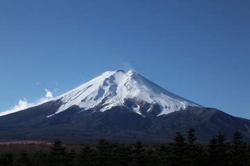 Fototapeta na wymiar Mt Fuji, Japan