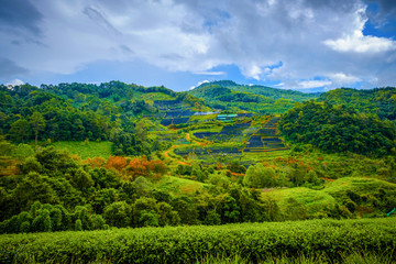 high mountains peaks range clouds in fog scenery landscape national park view outdoor  at Doi Ang Khang, Chiang Mai Province, Thailand