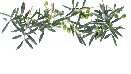 Naklejka premium Olive branch with green olives isolated on white background. Olive branches hanging down from above. Green olives with leaves. Copy space.