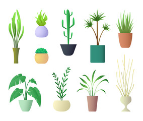 Fototapeta na wymiar Plants Interior for Home Hotel or Office. Vector illustration of Potted Plant.