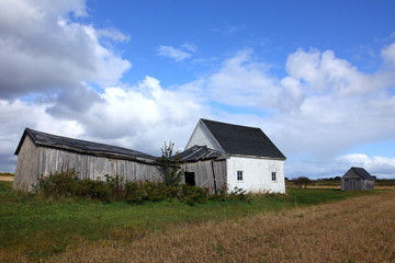 Obraz premium October in Price Edward Island