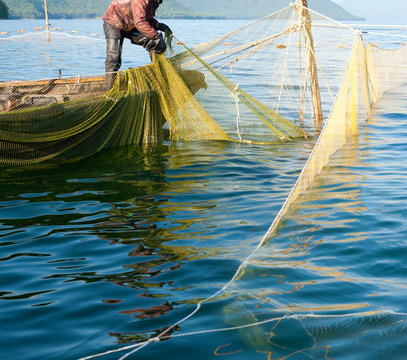 trap fishing