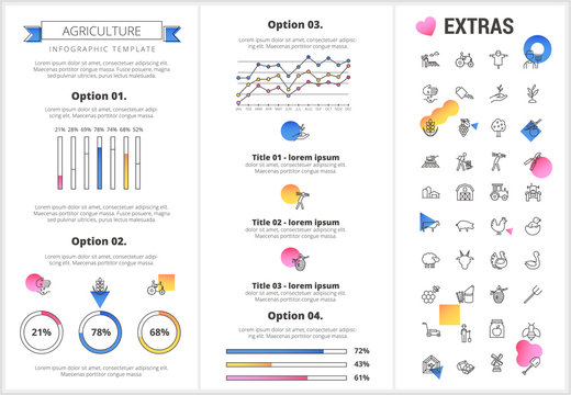 Agriculture infographic template, elements and icons. Infograph includes customizable graphs, four options, line icon set with agriculture food, farm animal, agricultural business, farming tools etc.