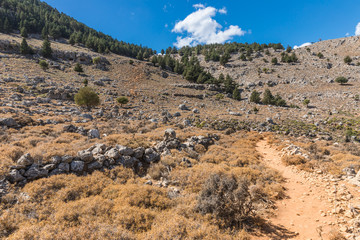 Stony landscape of  the Tsambika mountain on the Rhodes Island, Greece