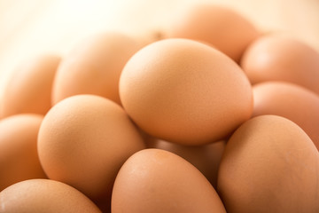 Eggs with morning light