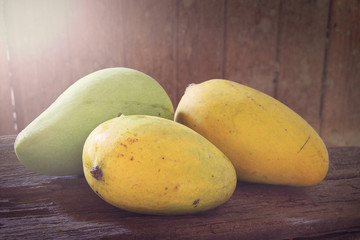Still life of three mangoes