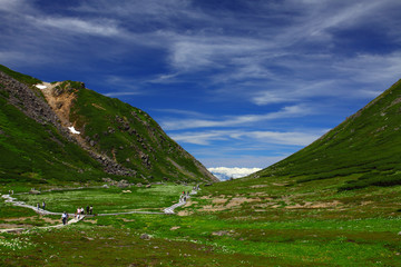 Spring in Mt. Norikura, Nagano, Japan 