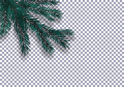 Christmas, New Year. Realistic blue tree branch and its shadow. Against the background of the checkered. illustration