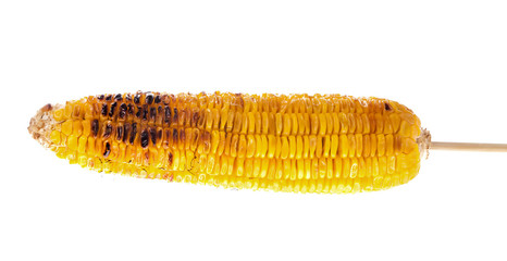 Appetizer grilled corn in white background