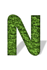 Letter as a Green leave wall. Font For Your Design. 3d rendering of vertical garden alphabet. Isolated On White Background. clipping path included