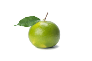Sweetie green citrus with branch and leaves, isolated on white background