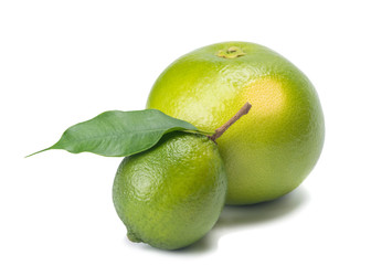 Sweetie with lemon and branch, isolated on white background