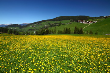 May in South Tyrol