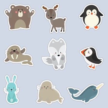 set of sticker with cute animal arctic