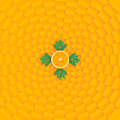 Orange slices on orange pattern color background