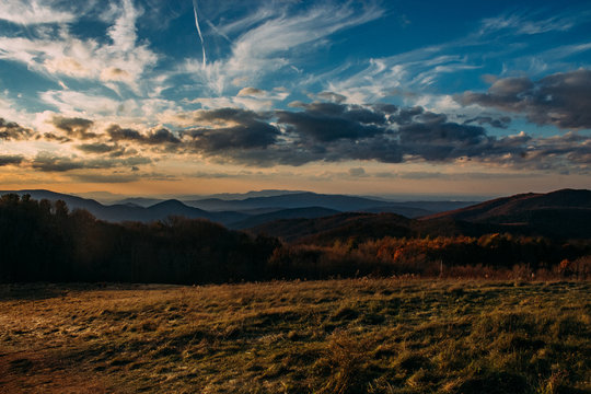 Max Patch