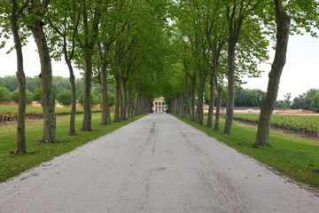 Obraz premium May in Saint-Emilion and vicinity, France