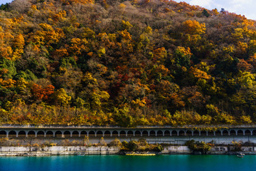 Fototapeta premium 相模湖と紅葉