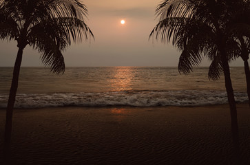 Obraz premium Beach with two palm trees and ocean view